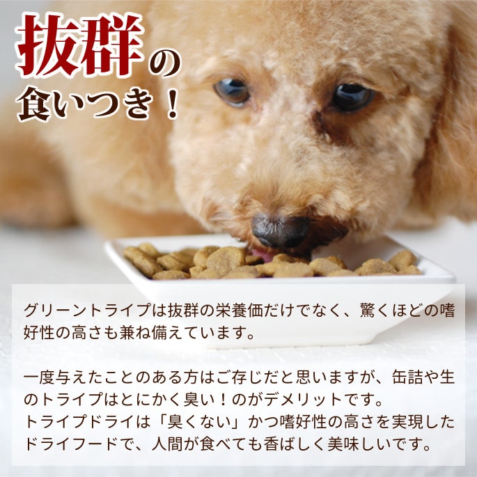 ȥ饤ץɥ饤ɥåաɡࡡ230g