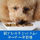 ȥ饤ץɥ饤ɥåաɡࡡ230g