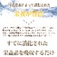 ȥ饤ץɥ饤ɥåաɡࡡ230g