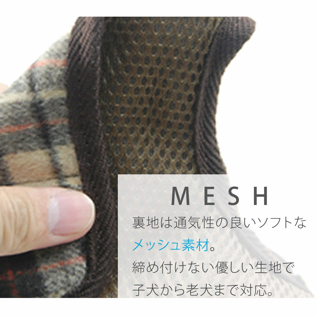 ASHUϡͥ å SS()ڥ꡼ɤ̵ۢʤ꼡轪λ