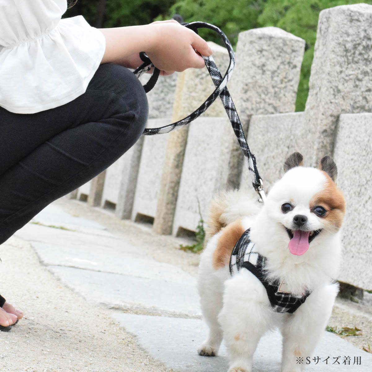 ASHUϡͥ å SS()ڥ꡼ɤ̵ۢʤ꼡轪λ