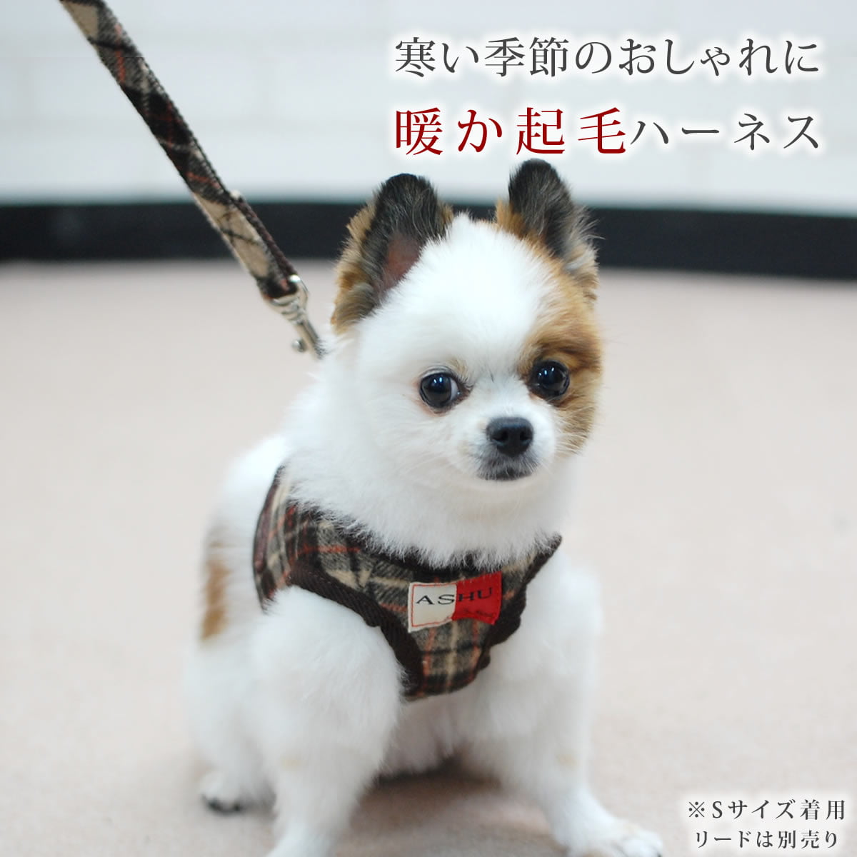 ASHUϡͥ å SS()ڥ꡼ɤ̵ۢʤ꼡轪λ