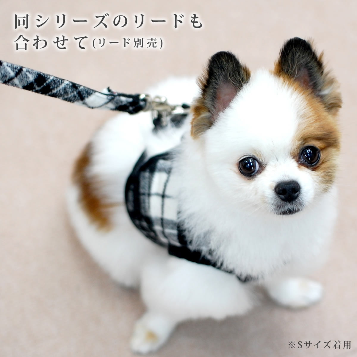 ASHUϡͥ å SS()ڥ꡼ɤ̵ۢʤ꼡轪λ