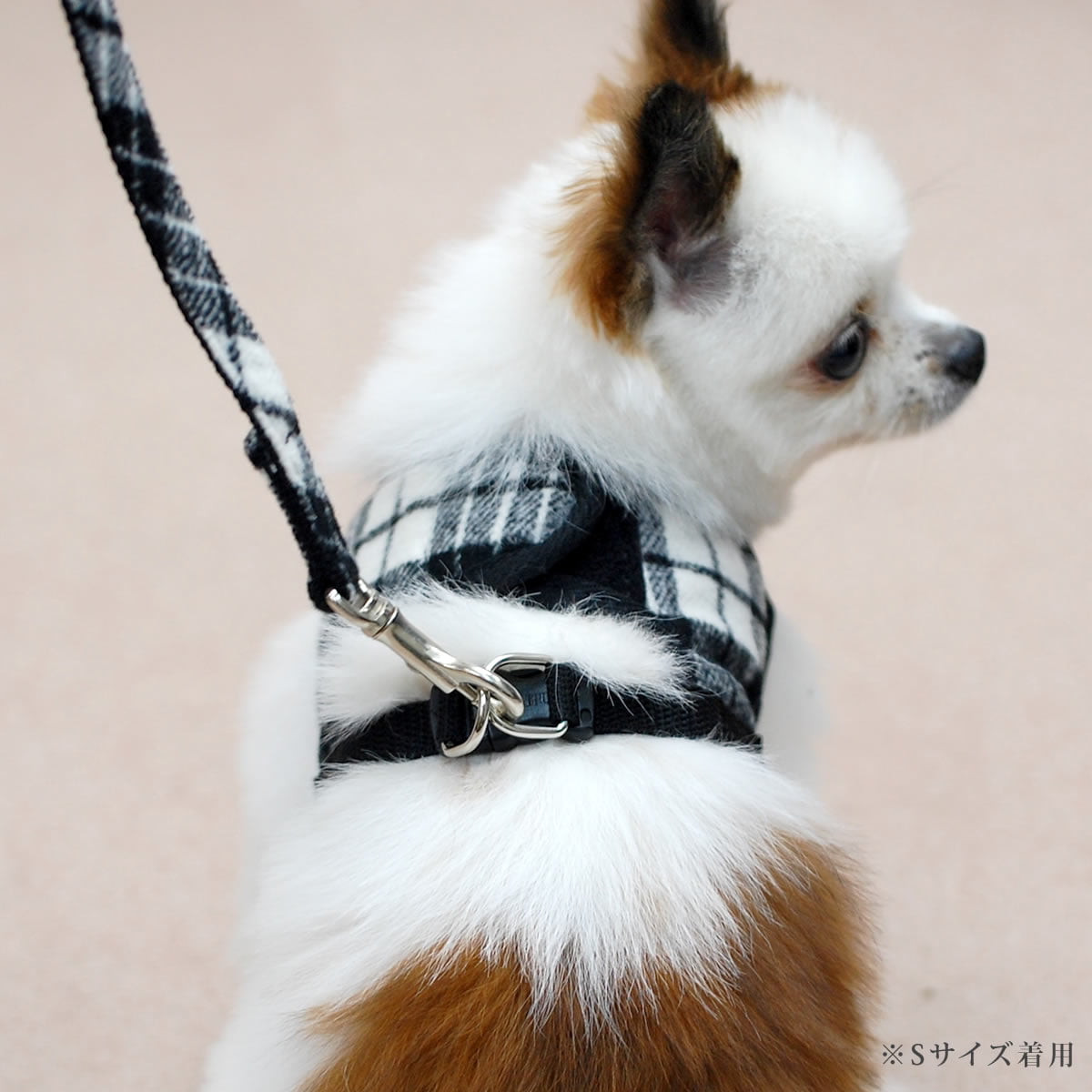 ASHUϡͥ å SS()ڥ꡼ɤ̵ۢʤ꼡轪λ