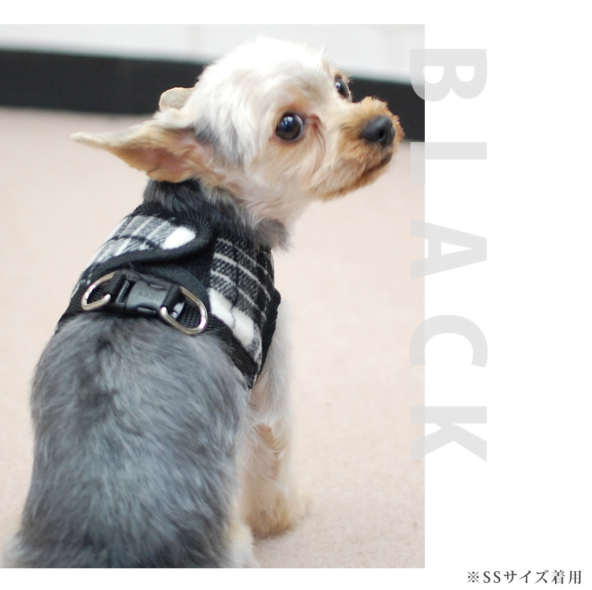 ASHUϡͥ å SS()ڥ꡼ɤ̵ۢʤ꼡轪λ