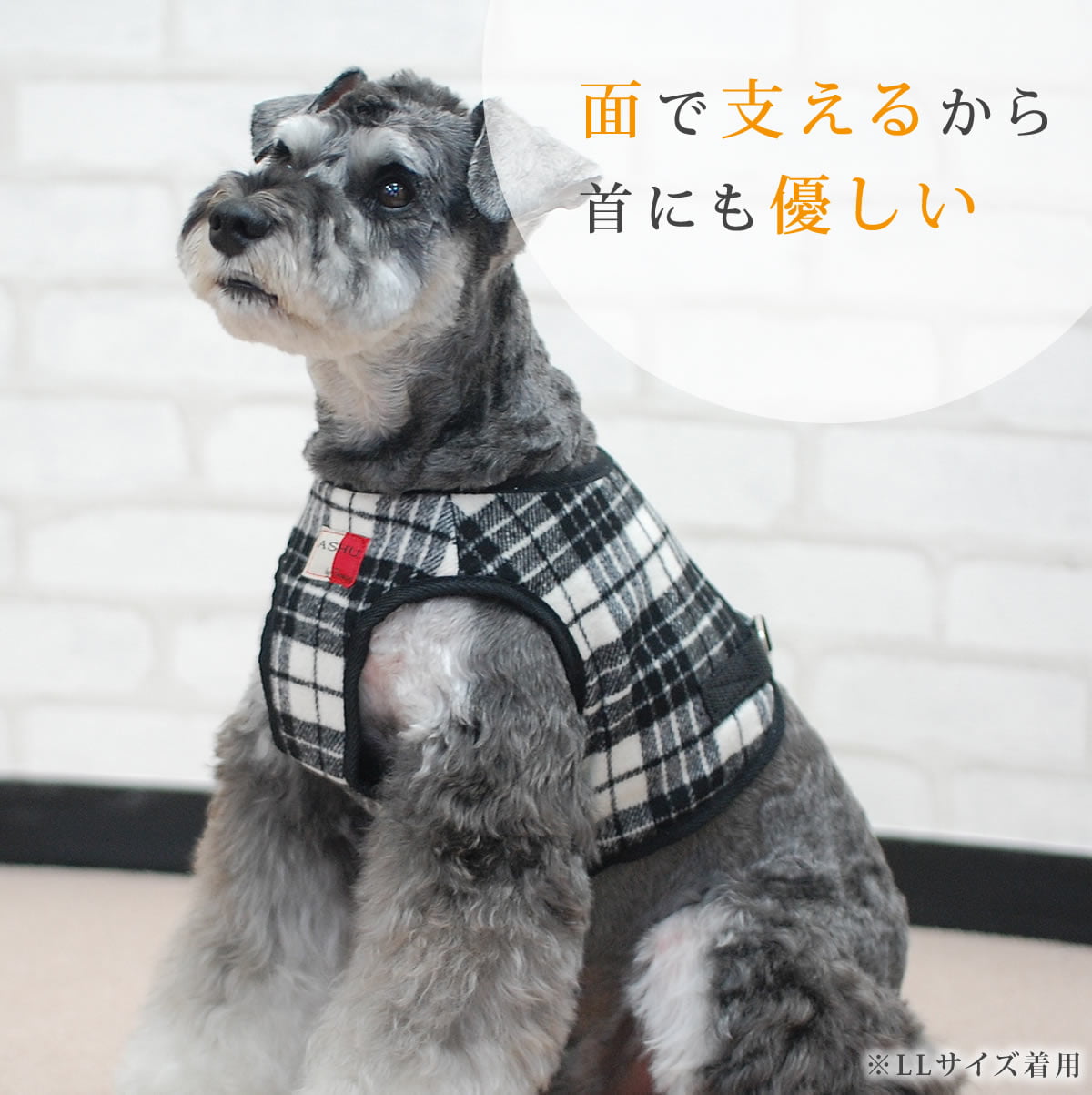 ASHUϡͥ å SS()ڥ꡼ɤ̵ۢʤ꼡轪λ