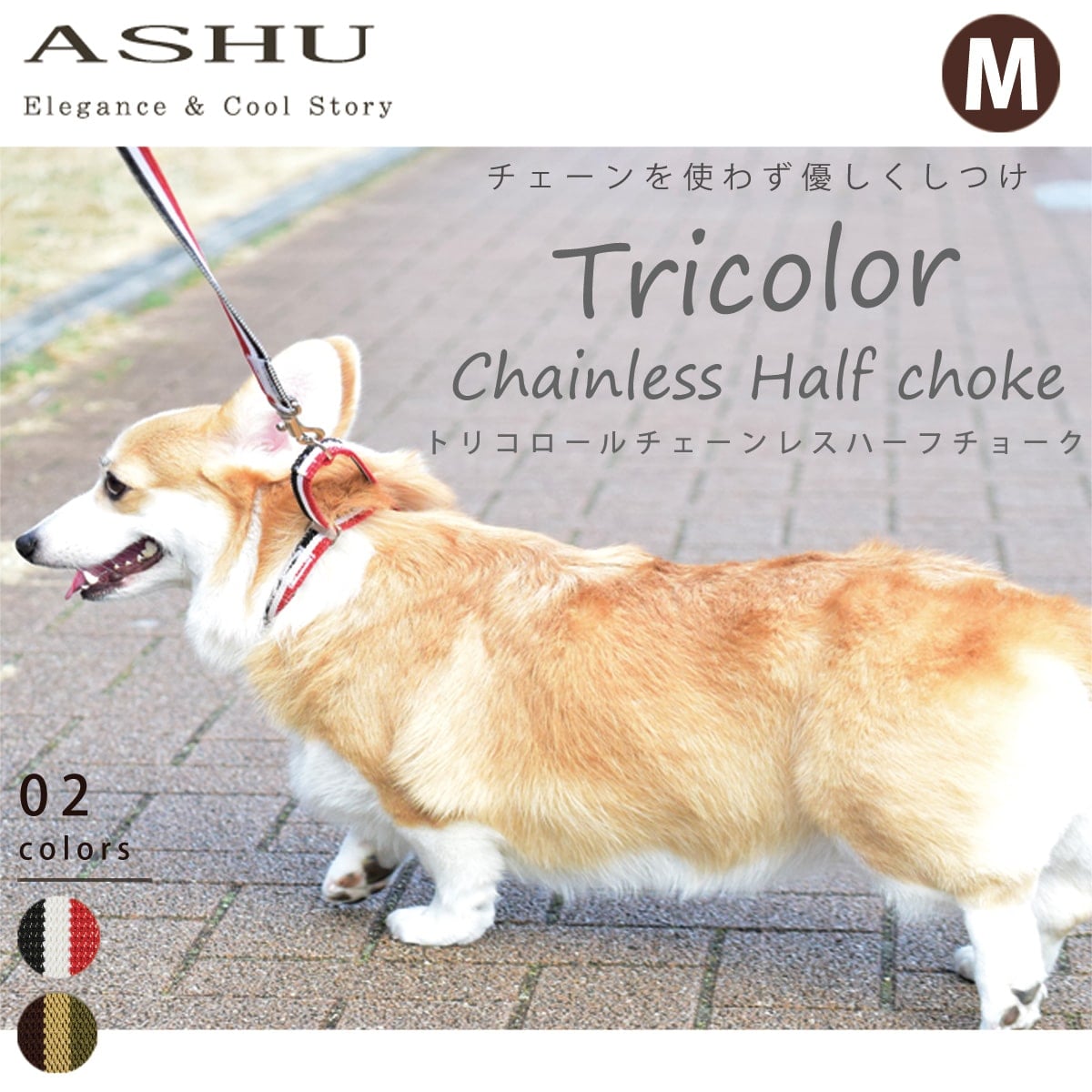 ASHU ���� �ȥꥳ������ ��������쥹 �ϡ��ե��硼�� M���������淿����