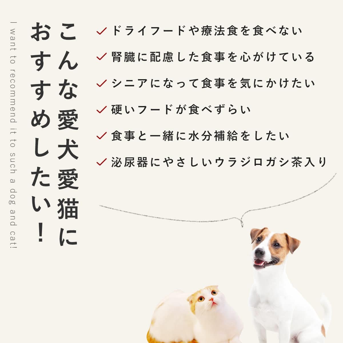 ������ ���ꤴ�Ϥ� �����Υ��饹���פ�����6��/12��/24��/���åȡڥѥå�����������ñ�̤��ѹ��ˤʤ�ޤ����� �������ء� �ڥϥ���ɥ��࿩Ʋ��