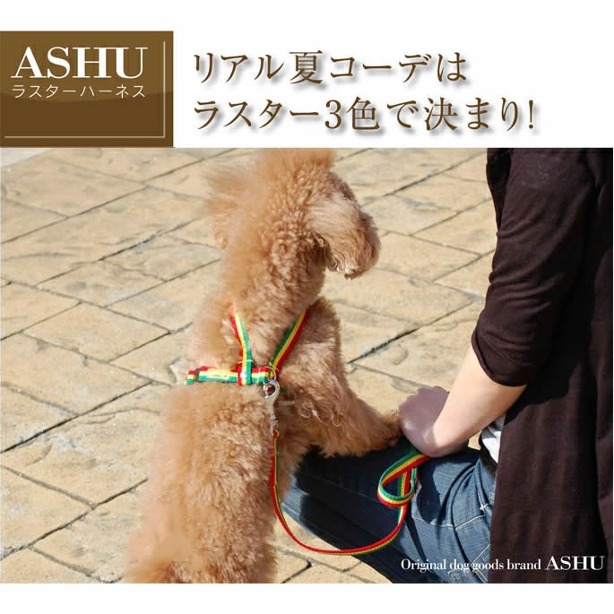 �������ѥϡ��ͥ���ASHU���饹�������ϡ��ͥ���S������