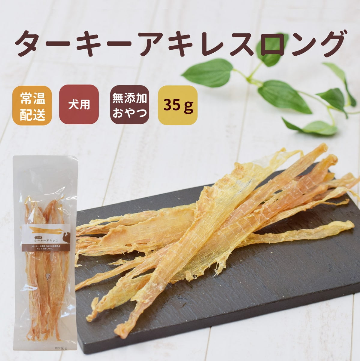 ���ѥ��㡼�����å������������쥹 ���󥰡�����Ļ��̵ź�å��㡼����