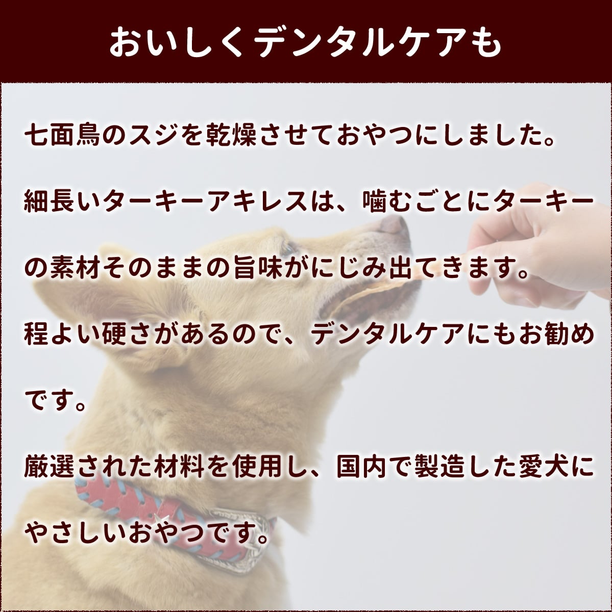 ���ѥ��㡼�����å������������쥹 ���󥰡�����Ļ��̵ź�å��㡼����