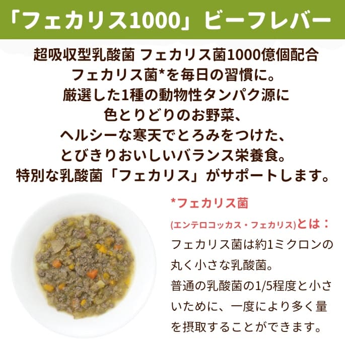 �ʥ�����ϡ��٥��� �ե����ꥹ1000���ӡ��ե�С�