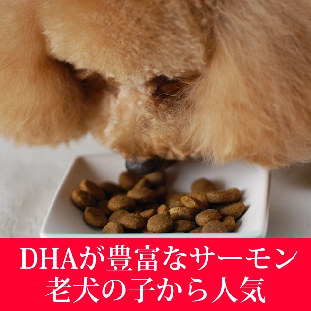 �ȥ饤�ץɥ饤���ɥå��ա��ɡ��磻��ɥ������230�� ����γ�����פ�γ���礭��8mm �� 1cm�ۤɤǤ�