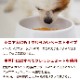 �ʥ�����ϡ��٥��� ��ȥ�ȡ� �ꥳ�ԥ�ץ饹 ������(��) 12�ޥ��åȡ�������ܿ�