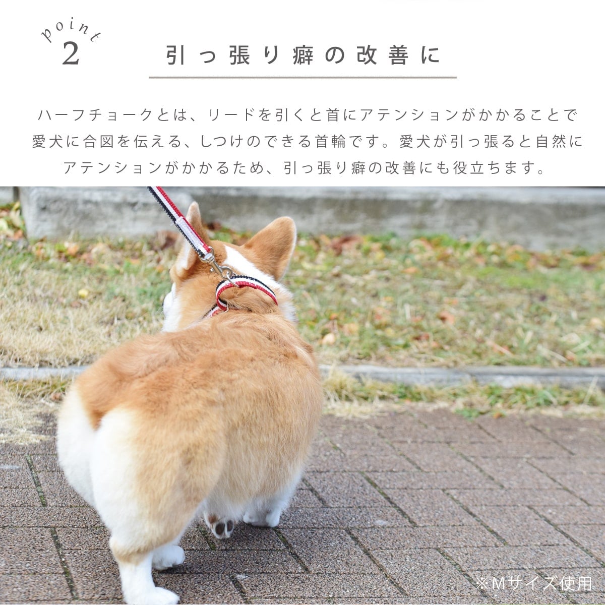 ASHU ���� �ȥꥳ������ ��������쥹 �ϡ��ե��硼�� L������ �緿����