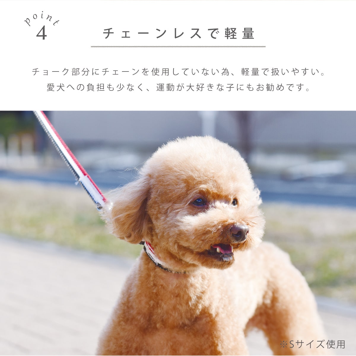 ASHU 犬用 トリコロール チェーンレス ハーフチョーク Lサイズ 大型犬用 ｜ドッグフードの通販 帝塚山ハウンドカム