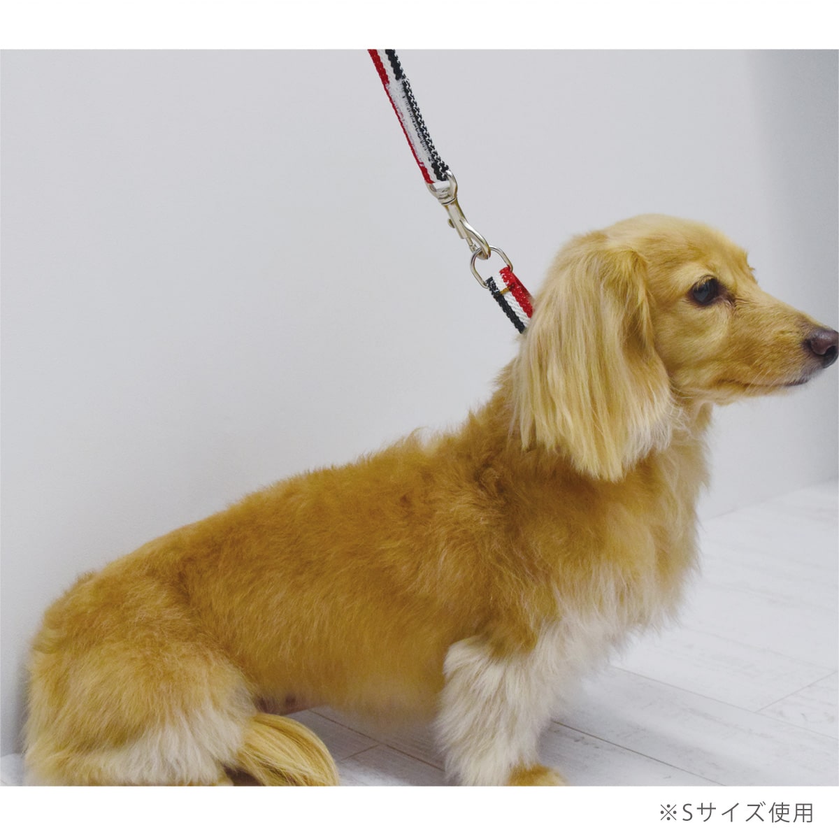 ASHU ���� �ȥꥳ������ ��������쥹 �ϡ��ե��硼�� L������ �緿����