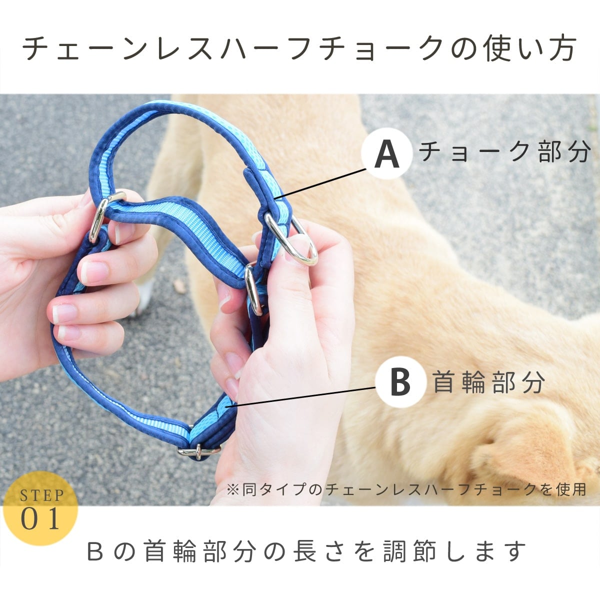ASHU 犬用 トリコロール チェーンレス ハーフチョーク Lサイズ 大型犬用 ｜ドッグフードの通販 帝塚山ハウンドカム
