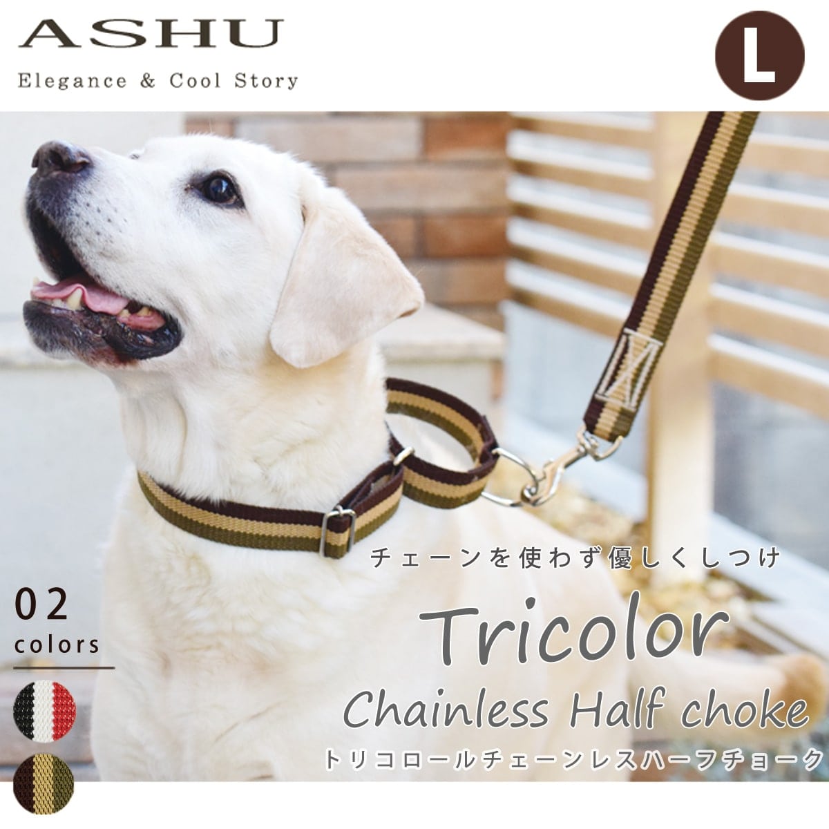 ASHU ���� �ȥꥳ������ ��������쥹 �ϡ��ե��硼�� L������ �緿����