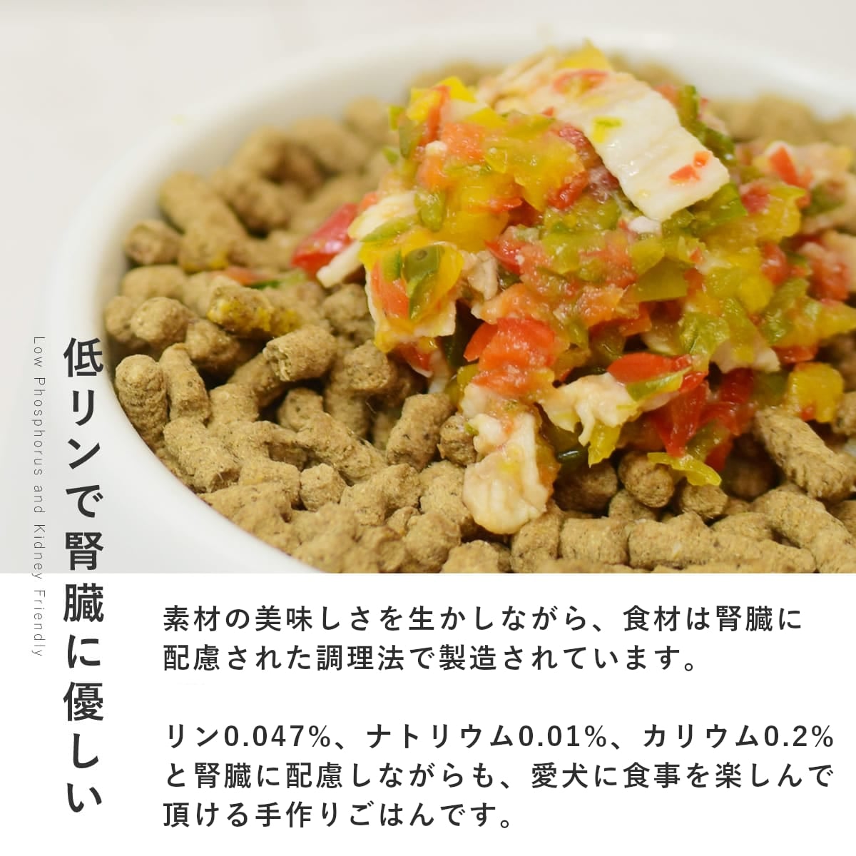 ������ ���ꤴ�Ϥ� ���󥸥㥪������6��/12��/24��/���å� �������ء� �ڥϥ���ɥ��࿩Ʋ��