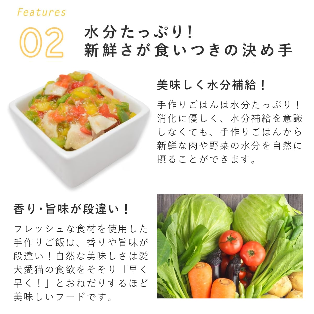 ������ ���ꤴ�Ϥ� ���󥸥㥪������6��/12��/24��/���å� �������ء� �ڥϥ���ɥ��࿩Ʋ��