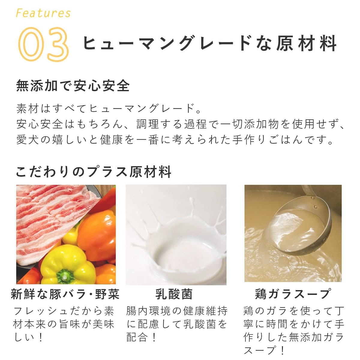 ������ ���ꤴ�Ϥ� ���󥸥㥪������6��/12��/24��/���å� �������ء� �ڥϥ���ɥ��࿩Ʋ��