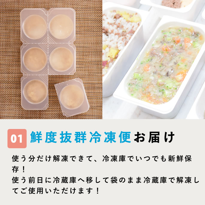 ��11���3�����۰����Ѽ��ꤴ�� �ߤΤݤ��ݤ����Ϥ󥻥åȡڥϥ���ɥ��࿩Ʋ�ۡ������ء�