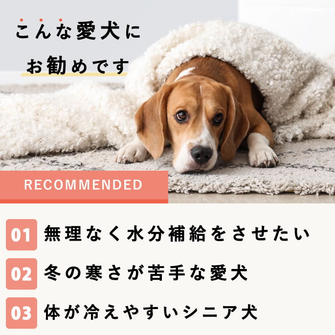 ��11���3�����۰����Ѽ��ꤴ�� �ߤΤݤ��ݤ����Ϥ󥻥åȡڥϥ���ɥ��࿩Ʋ�ۡ������ء�