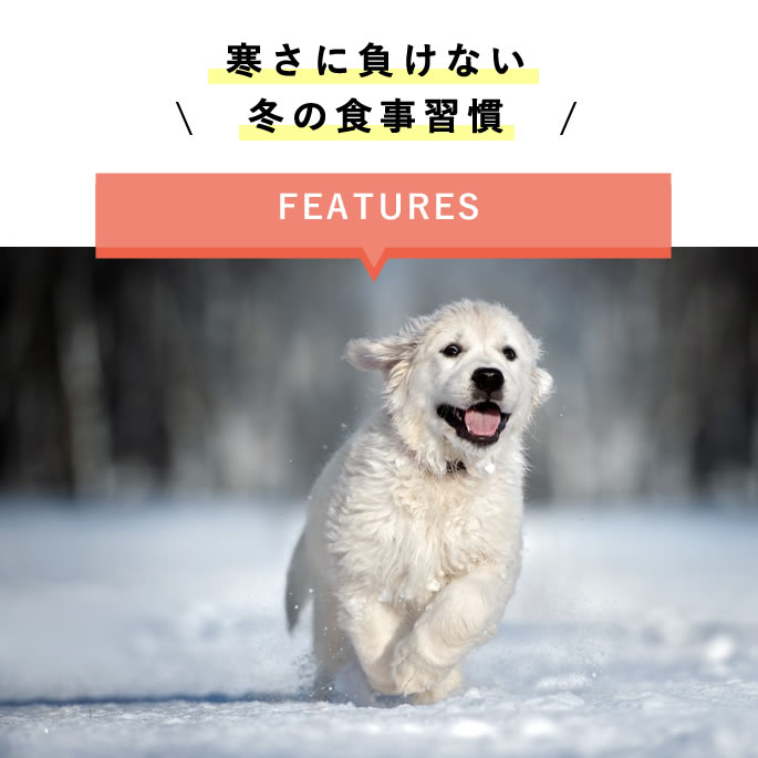 ��11���3�����۰����Ѽ��ꤴ�� �ߤΤݤ��ݤ����Ϥ󥻥åȡڥϥ���ɥ��࿩Ʋ�ۡ������ء�