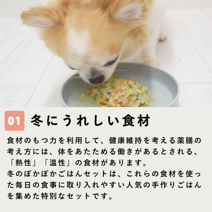 ��11���3�����۰����Ѽ��ꤴ�� �ߤΤݤ��ݤ����Ϥ󥻥åȡڥϥ���ɥ��࿩Ʋ�ۡ������ء�