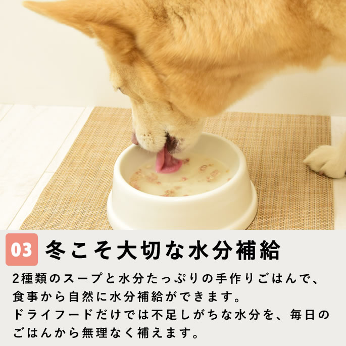 ��11���3�����۰����Ѽ��ꤴ�� �ߤΤݤ��ݤ����Ϥ󥻥åȡڥϥ���ɥ��࿩Ʋ�ۡ������ء�