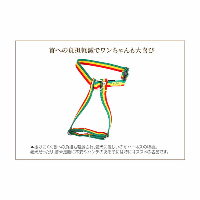 �淿���ѥϡ��ͥ���ASHU���饹�������ϡ��ͥ���M������
