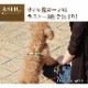 �淿���ѥϡ��ͥ���ASHU���饹�������ϡ��ͥ���M������