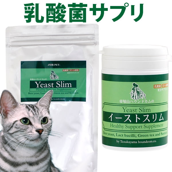 ǭ�ѡ������ݥ��ץ���ȡ��������ȥ���ࡡ�����ݥ��ץ���ȡ��������ˤ⤴���Ѥ��������ޤ�