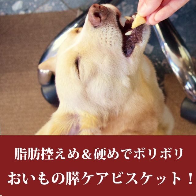 ̵źäġ繥åӥ2糧å