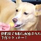 ̵źäġ繥åӥ2糧å