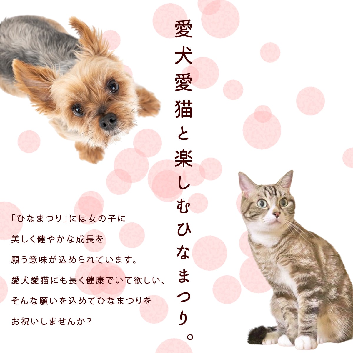 ������ǭ�� �ҤʤޤĤꤪ�ˤ����åȡ������ءۡڥϥ���ɥ��࿩Ʋ�ۡڢ�������ϰ��3/4���