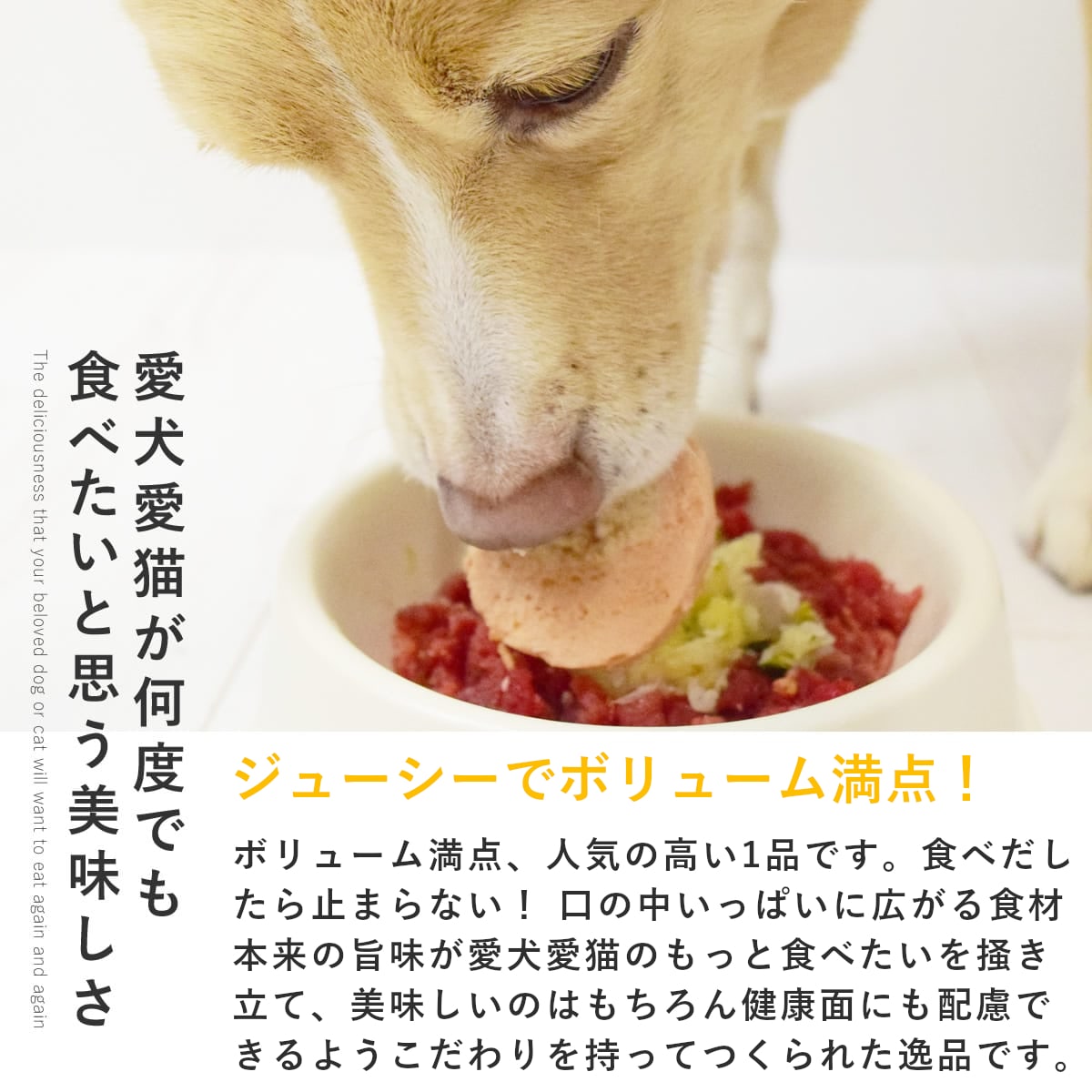 ������ǭ�� ���ꤴ�Ϥ� �񴬤����奦�ޥ�6��/12��/24��/���åȡڥѥå�����������ñ�̤��ѹ��ˤʤ�ޤ����� �������ء� �ڥϥ���ɥ��࿩Ʋ��