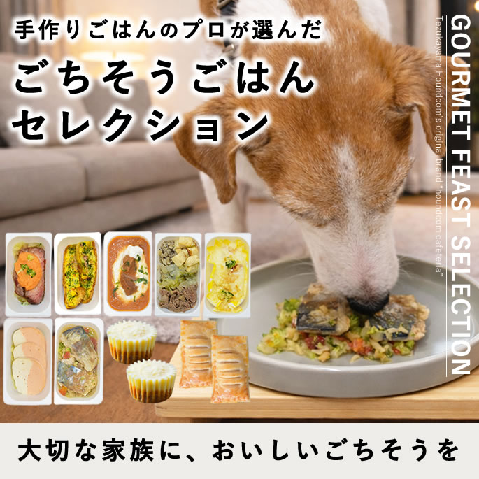 �����Ѽ��ꤴ�� �����������Ϥ󥻥쥯�����ڥϥ���ɥ��࿩Ʋ�ۡ������ء�