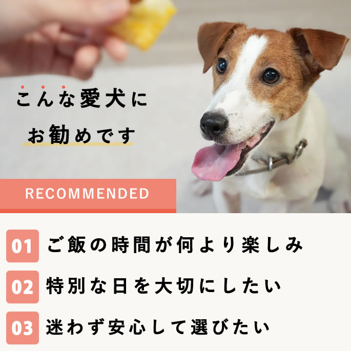 �����Ѽ��ꤴ�� �����������Ϥ󥻥쥯�����ڥϥ���ɥ��࿩Ʋ�ۡ������ء�