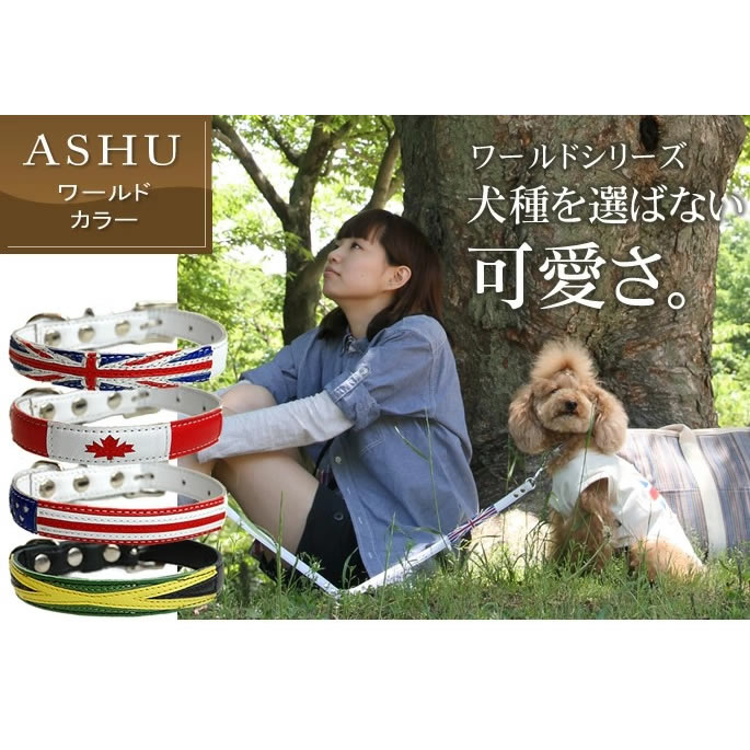 Ķ�������Ѽ��ء�ASHU�����ɡ����顼��SS������