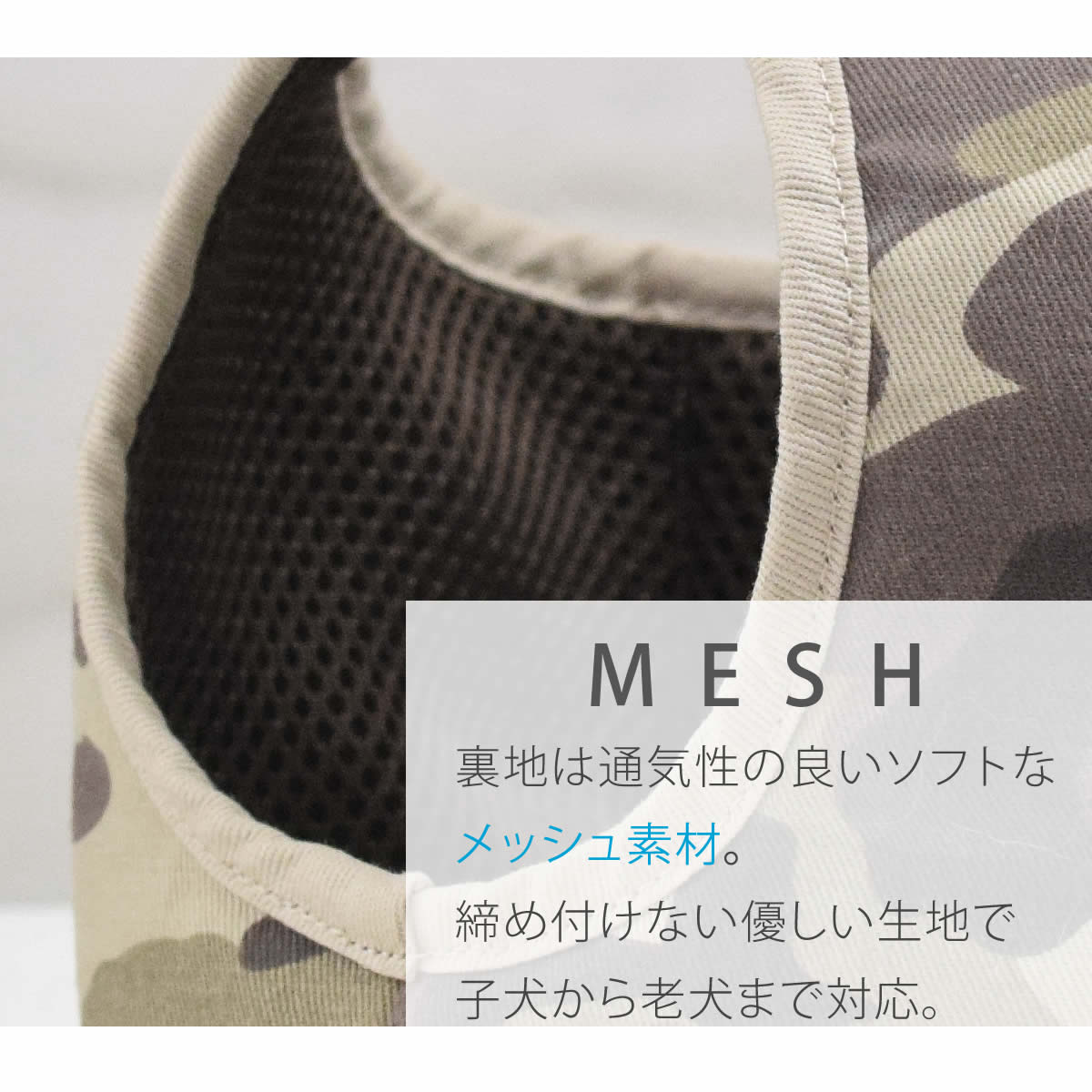 ѥϡͥASHUϡͥº̡åȡSS