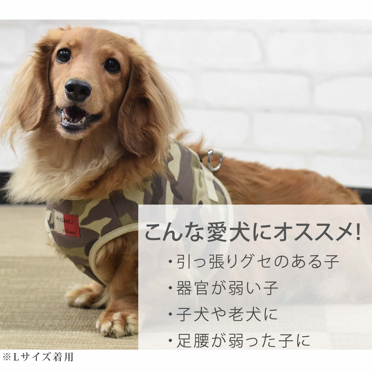 犬用ハーネス 小型犬｜ASHU ウェアハーネス迷彩 セット SSサイズ