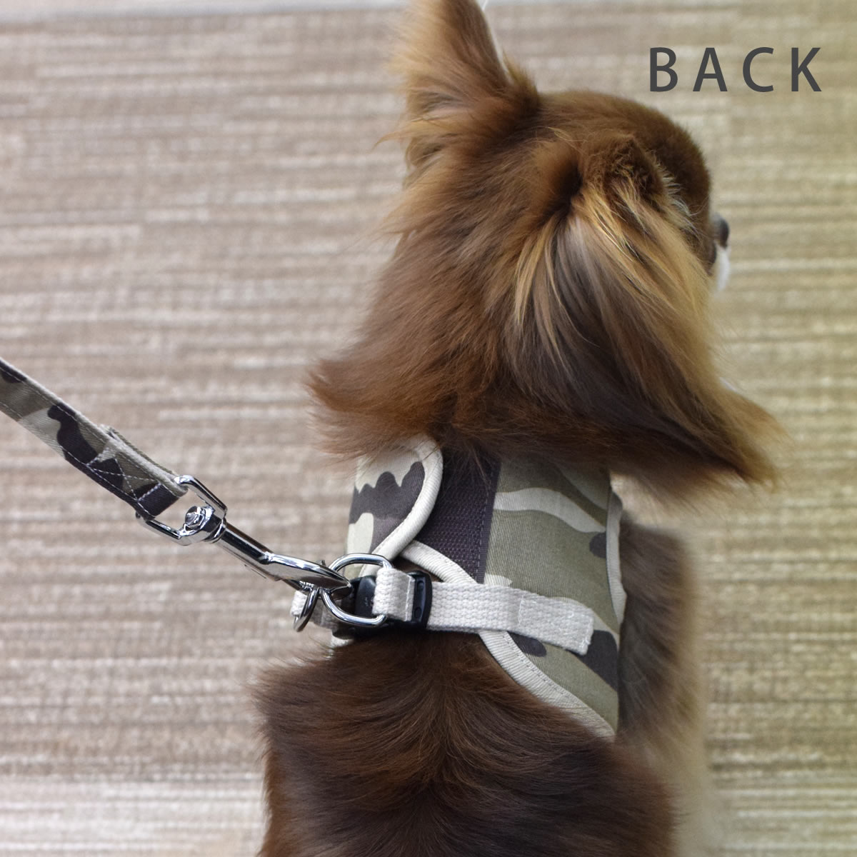 ѥϡͥASHUϡͥº̡åȡSS