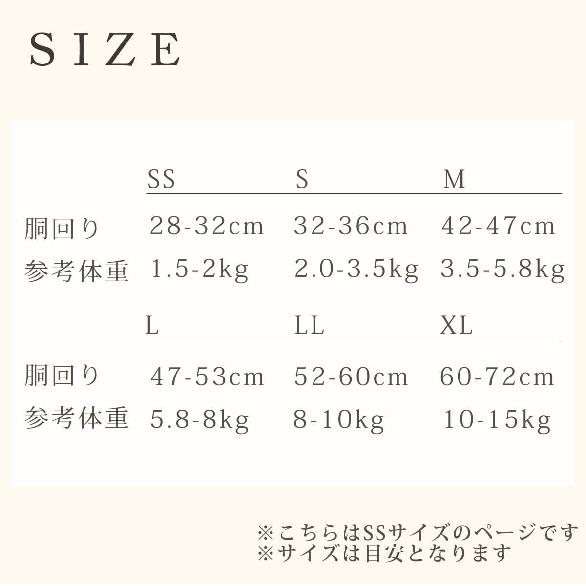 ѥϡͥASHUϡͥº̡åȡSS