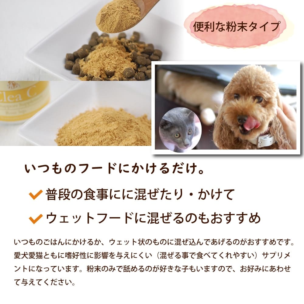 ǭ�ѥ��ץ���ȡå��ꥢC��ŷ���Υӥ��ߥ�C���ץ���ȡ�60g