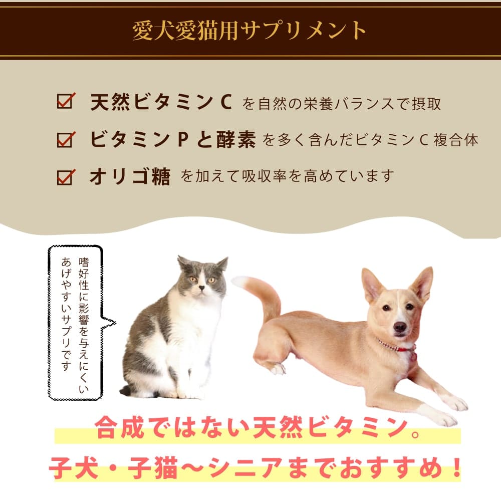 ǭ�ѥ��ץ���ȡå��ꥢC��ŷ���Υӥ��ߥ�C���ץ���ȡ�60g