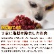 Ĺþֿȼʬȥ졼 450gߥǭˤ⤴Ѥޤ