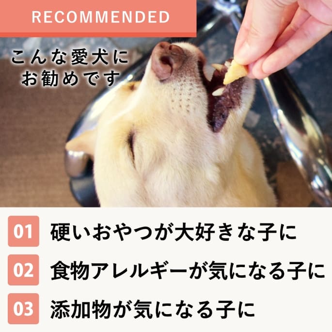 ����̵ź�ä���ġû��ù����ᡡ�������繥����ӥ����å�11�ޥ��å�60g������