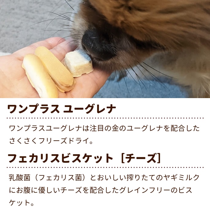 犬 おやつ ナチュラルハーベスト おやつ ミックストリーツ ユーグレナ チーズ ドッグフードの通販 帝塚山ハウンドカム